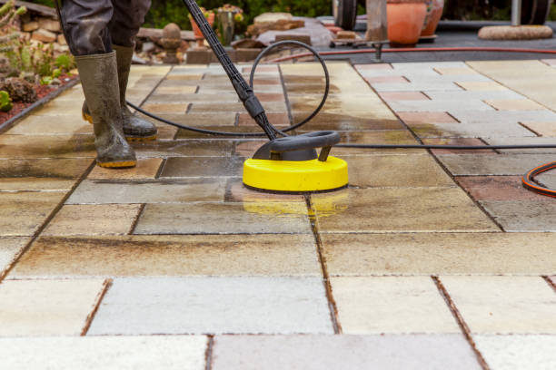 Animal Enclosure Cleaning in Cottonwood, CA